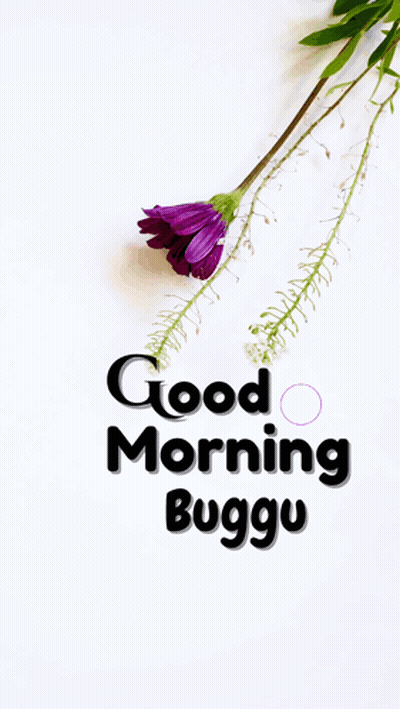 A Purple Flower Is On A White Background With The Words " Good Morning Buggu " GIF