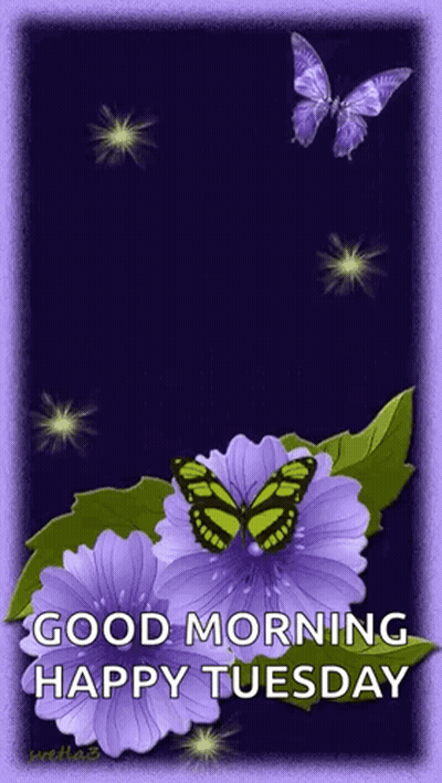 A Purple Flower With A Butterfly On It And The Words Good Morning Happy Tuesday GIF