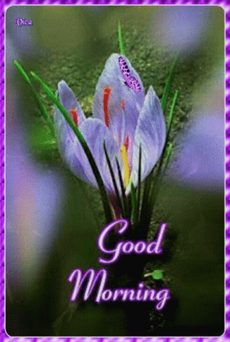 A Purple Flower With A Butterfly On It Is On A Good Morning Card GIF