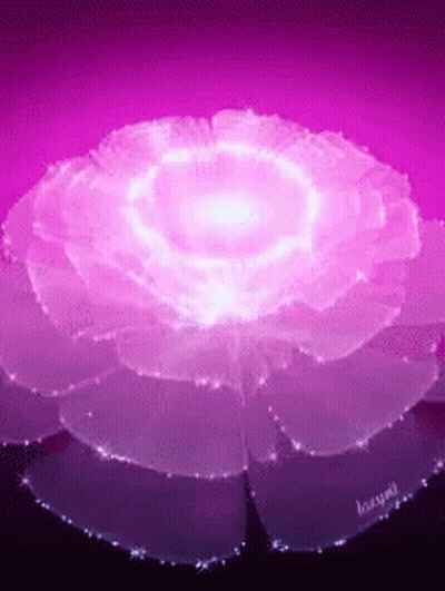 A Purple Flower With A Light Coming Out Of It GIF