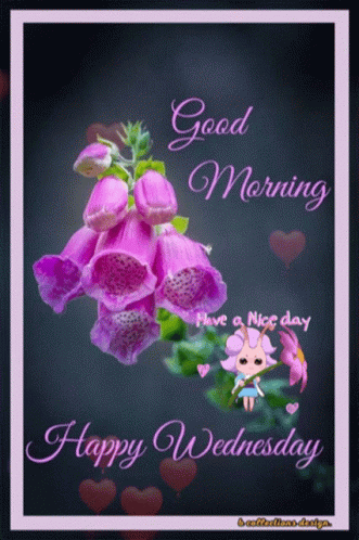 A Purple Flower With The Words Good Morning And Happy Wednesday On It GIF