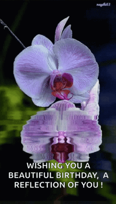 A Purple Flower With The Words Wishing You A Beautiful Birthday A Reflection Of You On It GIF