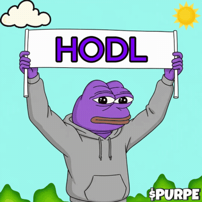 A Purple Frog In A Grey Hoodie Holds Up A Sign That Says Hodl GIF