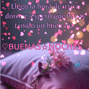 A Purple Pillow With Pink Flowers And The Words " Llega La Hora De Irse A Dormir " On It GIF