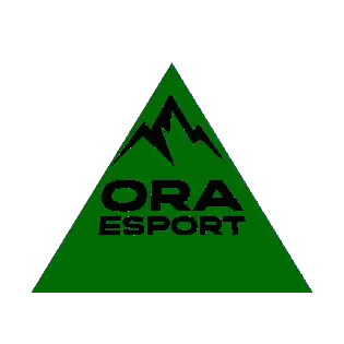 A Purple Pyramid With The Words Aro Ora Esport On It Sticker