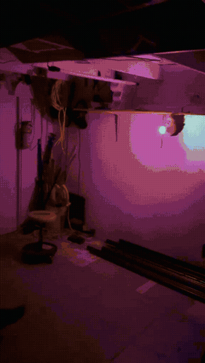 A Purple Room With A Purple Light On The Wall GIF