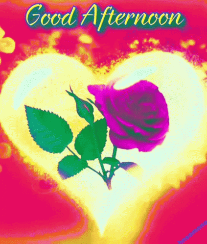 A Purple Rose Is In A Heart With The Words Good Afternoon GIF