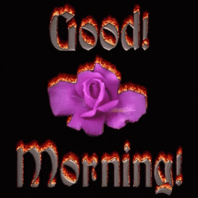 A Purple Rose Is Surrounded By Flames And The Words Good Morning GIF