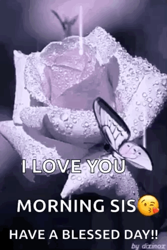 A Purple Rose With A Butterfly On It And The Words `` I Love You Morning Sis Have A Blessed Day ! '' GIF