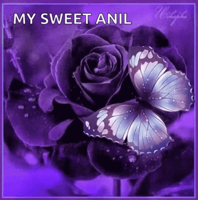 A Purple Rose With A Butterfly On It And The Words `` My Sweet Anil '' Written On It . GIF
