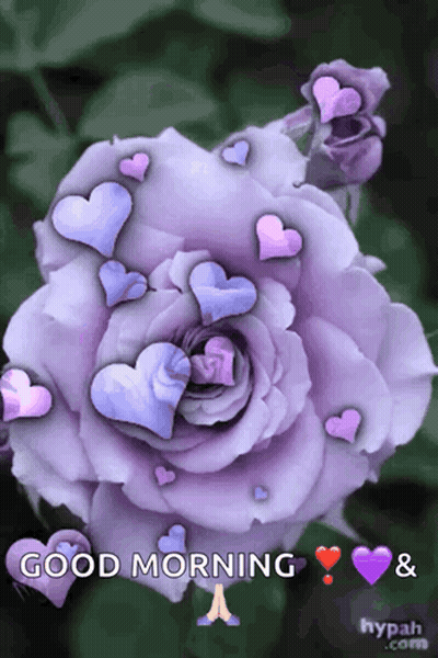 A Purple Rose With Hearts Around It And The Words Good Morning And A GIF