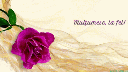 A Purple Rose With The Words Multumesc La Fel Written On The Bottom GIF