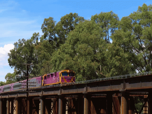 A Purple Train Is Going Over A Bridge With Trees In The Foreground GIF