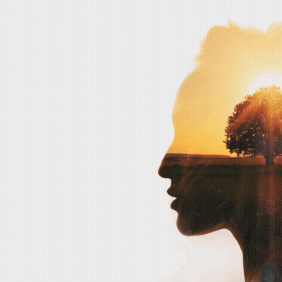 A Quote About A Single Idea Can Transform A World GIF
