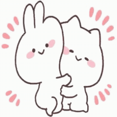 A Rabbit And A Cat Hugging Each Other . GIF