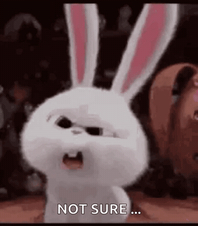 A Rabbit From The Secret Life Of Pets Is Making A Funny Face And Saying `` Not Sure ... '' . GIF