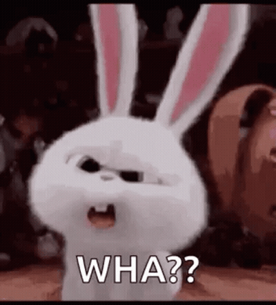 A Rabbit From The Secret Life Of Pets Is Making A Funny Face And Saying `` Wha ? '' . GIF