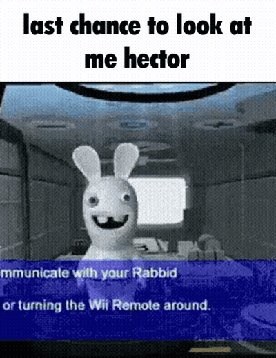 A Rabbit In A Video Game With The Words Last Chance To Look At Me Hector GIF