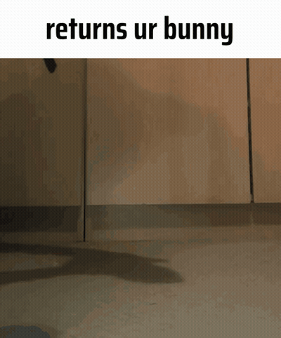 A Rabbit Is Jumping In The Air With The Words Returns Ur Bunny Above It GIF
