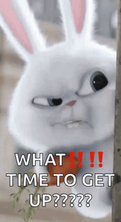 A Rabbit With A Carrot In Its Mouth And The Words What Time To Get Up GIF