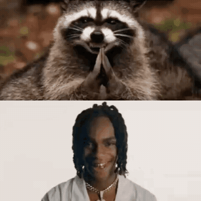A Raccoon And A Man Are Sitting Next To Each Other . The Raccoon Is Praying And The Man Is Smiling . GIF