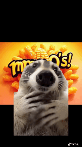 A Raccoon Is Covering Its Face In Front Of A Mr. O 'S Sign GIF