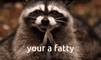 A Raccoon Is Holding A Feather In Its Mouth And Says " Your A Fatty " GIF