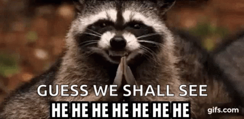 A Raccoon Is Holding A Piece Of Paper In Its Mouth And Laughing . GIF