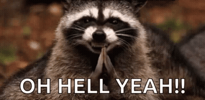 A Raccoon Is Holding A Piece Of Wood In Its Paws And Saying `` Oh Hell Yeah '' . GIF