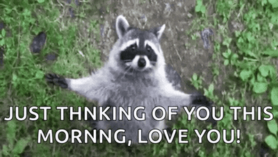 A Raccoon Is Laying In The Grass With Its Arms Outstretched And Says `` Just Thinking Of You This Morning , Love You '' GIF