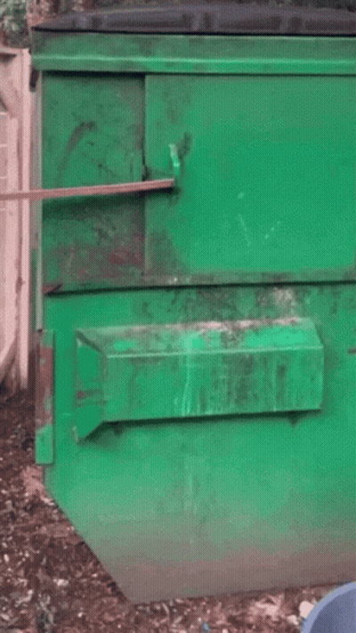 A Raccoon Is Looking Out Of A Green Door GIF