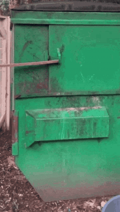 A Raccoon Is Looking Out Of A Green Dumpster GIF
