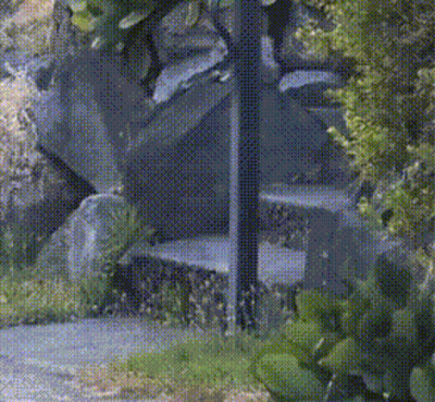 A Raccoon Is Running Through A Grassy Field Near A Road GIF