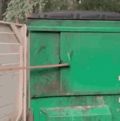A Raccoon Is Sitting In A Green Trash Can On A Leash . GIF