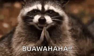 A Raccoon Is Smiling And Praying With Its Hands Folded In Prayer . GIF