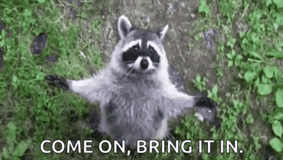 A Raccoon Is Standing In The Grass With Its Arms Outstretched And Says `` Come On , Bring It In '' . GIF