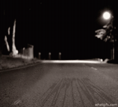 A Raccoon On A Leash Is Walking Down A Road At Night GIF