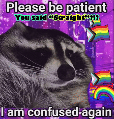 A Raccoon Says Please Be Patient You Said Straight GIF