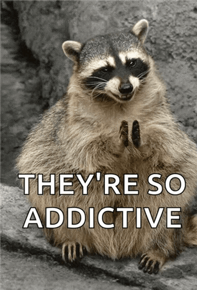 A Raccoon Sitting On A Rock With The Words They 'Re So Addictive GIF