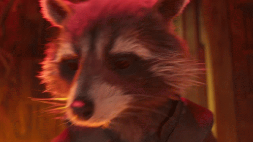 A Raccoon Wearing Glasses Is Reading A Newspaper That Says ' Shockwave ' On The Front GIF