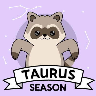 A Raccoon With The Word Taurus On A Banner GIF