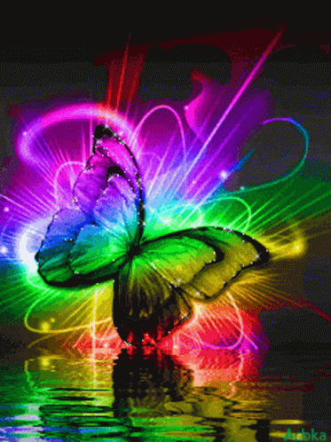 A Rainbow Colored Butterfly Is Reflected In The Water With A Reflection Of The Butterfly In The Water GIF