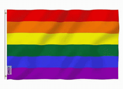 A Rainbow Flag With A Label That Says Ally On It GIF