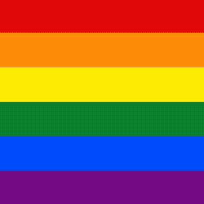 A Rainbow Flag With A Shadow Of A Person In The Background . GIF