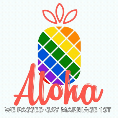A Rainbow Pineapple With The Words " Aloha We Passed Gay Marriage 1St " Below It GIF