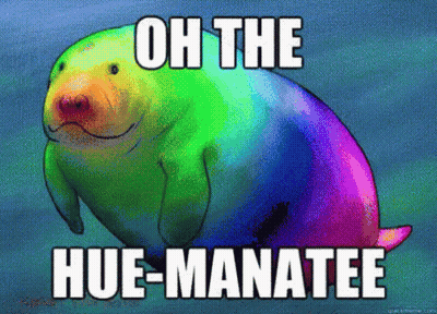 A Rainbow Sea Otter With The Words Oh The Hue-Manatee GIF