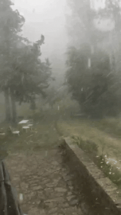 A Rainy Day In A Park With Trees And A Stone Walkway . GIF
