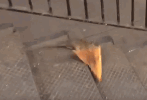 A Rat Is Eating A Slice Of Pizza On A Staircase . GIF