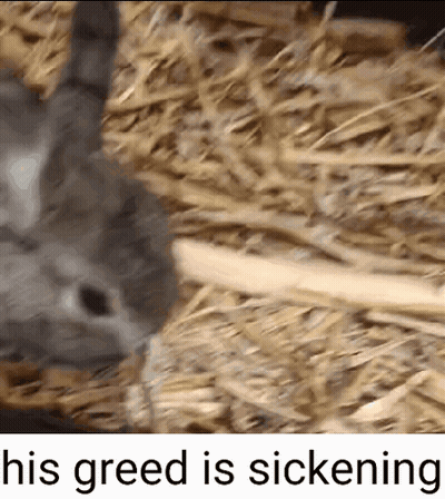 A Rat Is Laying In A Pile Of Hay With The Words His Greed Is Sickening Above It GIF
