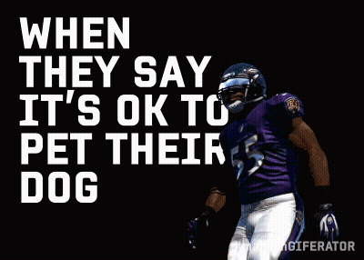 A Ravens Football Player Is Jumping In The Air With The Words When They Say It 'S Ok To Pet The Dog Behind Him GIF